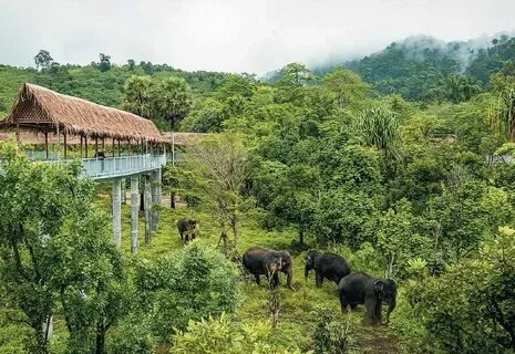Ethical Elephant Sanctuary Phuket